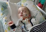 Klenica. 2-letni Michałek wpadł do szamba. Po godzinnej reanimacji trafił helikopterem do szpitala. Teraz chłopiec walczy o normalne życie! 