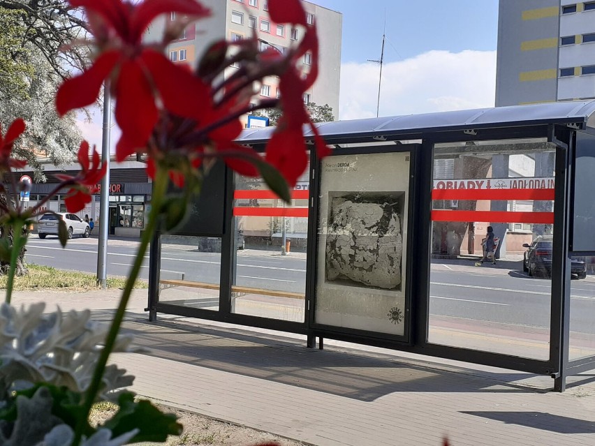 Działa sztuki na przystankach w Koninie. Ruszyła akcja „Sztuka nas szuka”. To już nie pierwsza tego typu wystawa