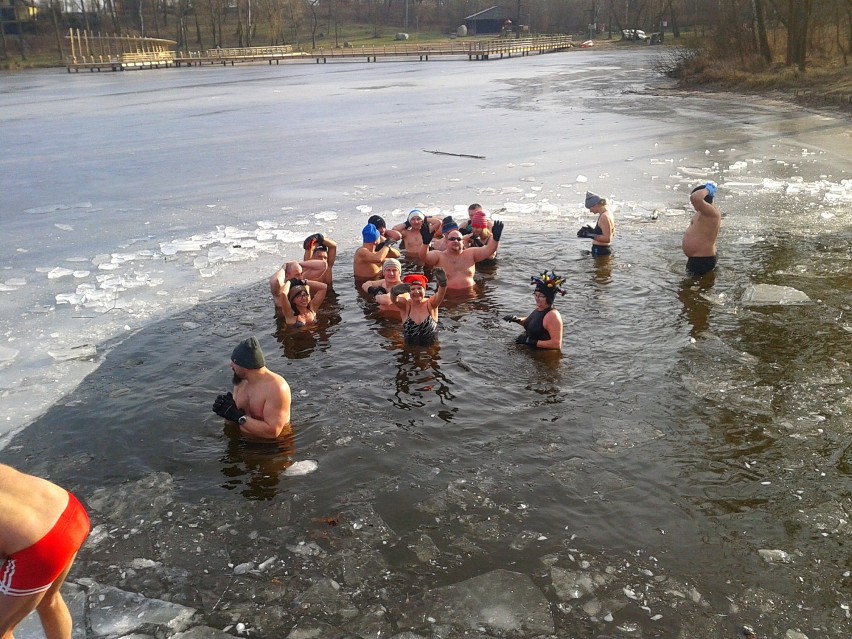 Toruńskie Morsy kąpały się w Zalesiu