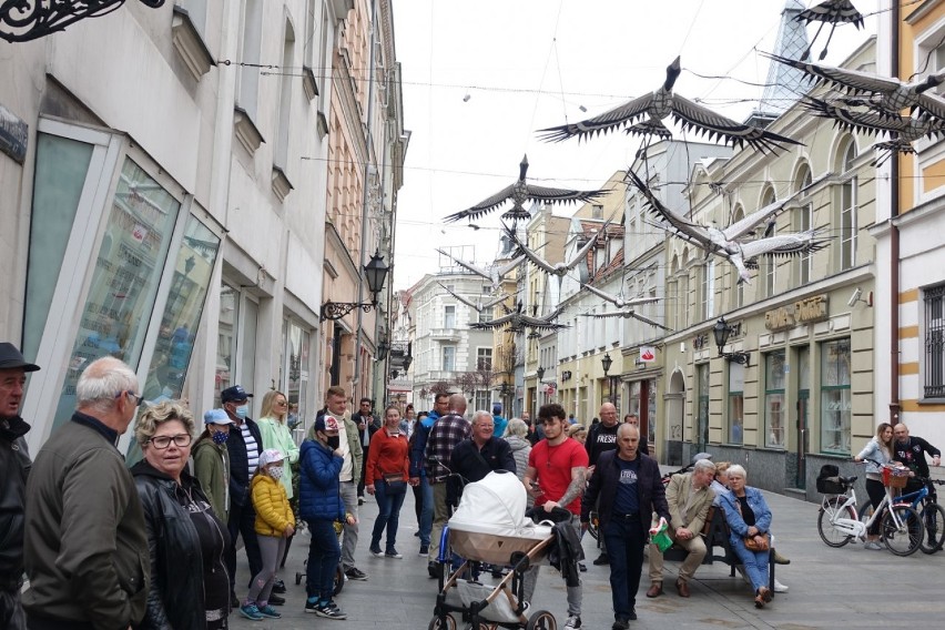 Leszno. Szok - miasto ożyło! Tłumy na mieście. Na rynku zabytkowe samochody. Były też koncerty: Wakacyjnych i Kapeli Podwórkowej [ZDJĘCIA]