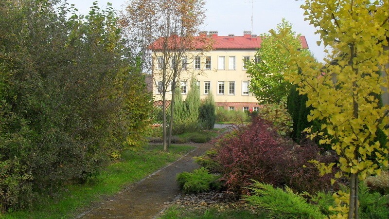 Światowy Dzień Drzewa w nowosolskim arboretum (zdjęcia)