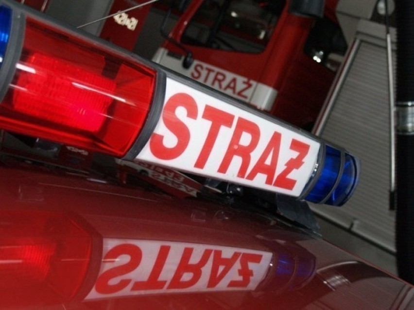 Tragiczny pożar garażu w Żarnowie koło Opoczna. Strażacy znaleźli ciało mężczyzny [ZDJĘCIA]