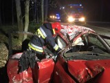 Nocny wypadek pod Miedzichowem. Auto roztrzaskało się na drzewach [ZDJĘCIA]