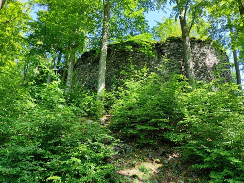 Ruiny zamku Szczerba położone są blisko drogi wojewódzkiej...