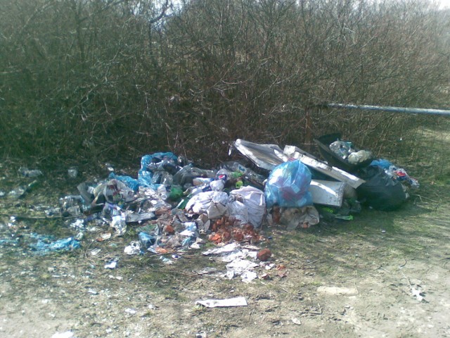 hałda śmieci tuż przy ul. Bodzowskiej.