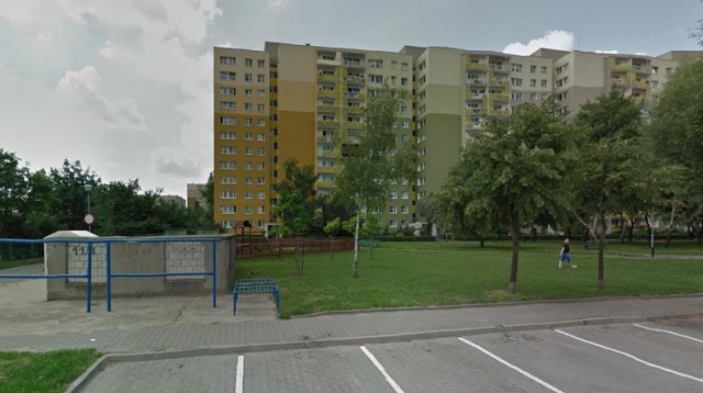Zabity pies na osiedlu Chrobrego w Poznaniu. Ktoś wyrzucił go z 4. piętra!