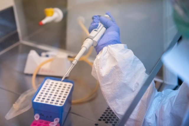Polska Akademia Nauk opublikowała zalecenia immunologów, które mogą okazać się szczególnie przydatne w obliczu epidemii koronawirusa.