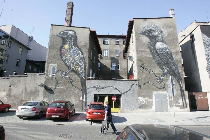 Mural nr 2 przy ul. Mariackiej Tylnej (wielkie ptaki) /...