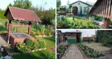 Ile kosztuje oaza zieleni w środku miasta? Sprawdź ogródki działkowe na sprzedaż w TYCHACH i okolicy. Oto TOP 10 ofert!