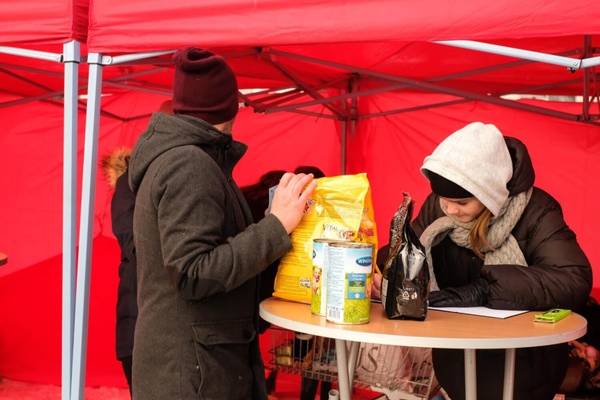 Białostoczanie hojnie wsparli schroniska dla zwierząt w...