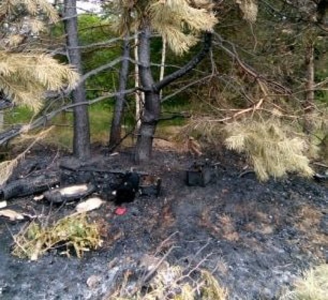 Zdjęcia spalonego kociego azylu