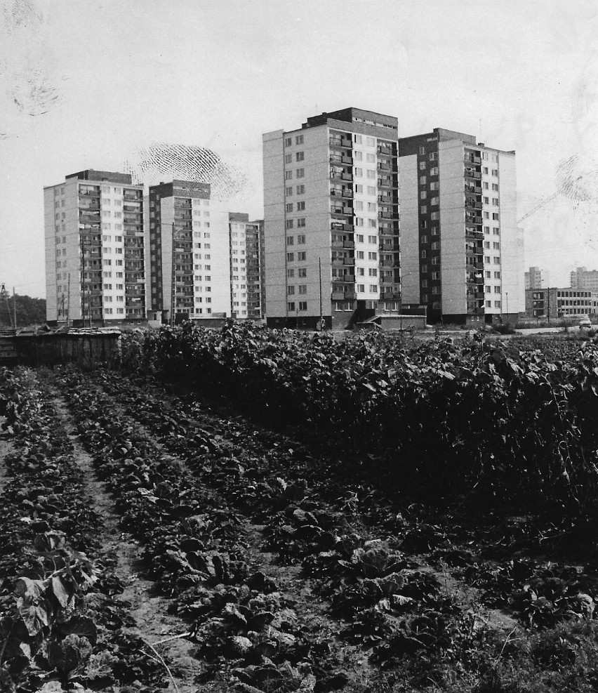 Budowa wielkich wrocławskich osiedli m.in. Kozanów i...