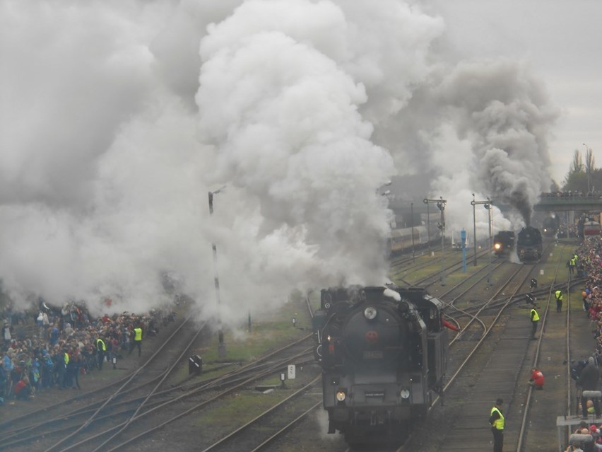 Wolsztyn. Sokiści na paradzie parowozów [ZDJĘCIA]