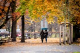 Pogoda w Łodzi i regionie na piątek 8 września 