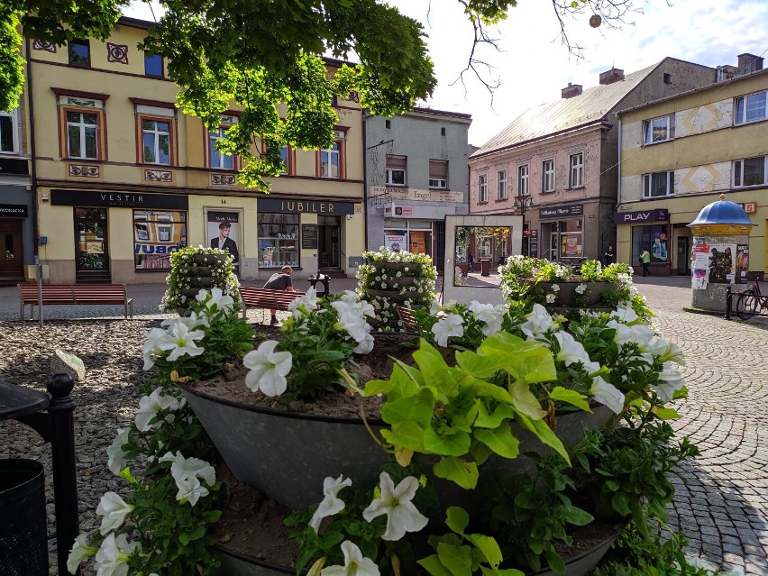 Lubliniecki rynek wypiękniał na wiosnę. Donice pełne kwiatów! W całym mieście coś kwitnie