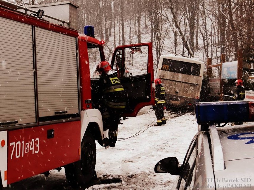 Wypadek w Międzybrodziu Bialskim. Autobus z dziećmi wypadł z drogi [ZDJĘCIA]