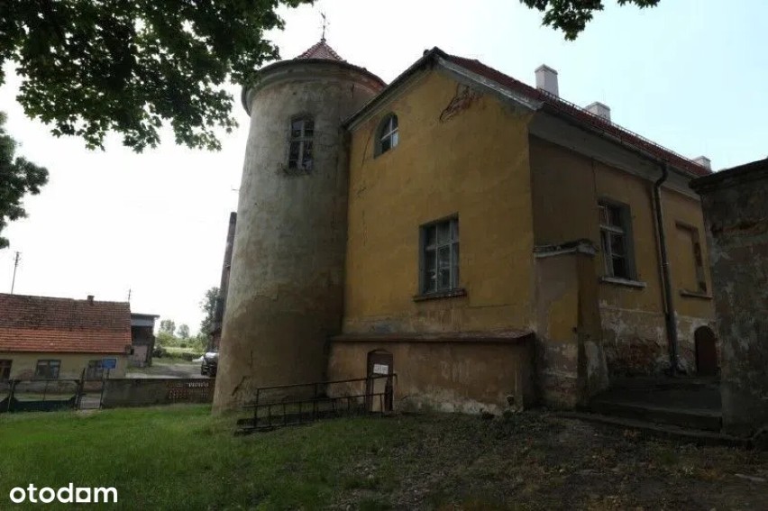 Zamek książęcy w Wąsoszu wystawiony na sprzedaż
