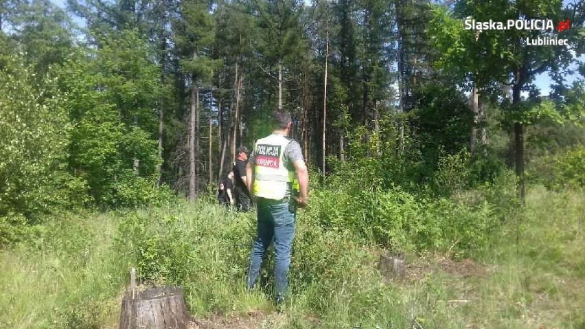 Poszukiwania 67-latka w Boronowie 7-11.06.2019.