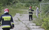 Tragedia w Zielonej Górze. 24-latek spadł z masztu telefonii komórkowej. Zginął na miejscu [ZDJĘCIA]