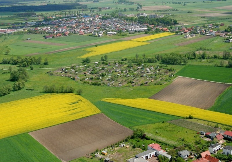 Przyjazne miasto Syców