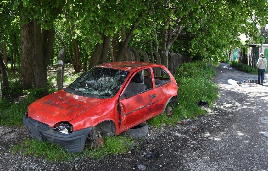 Sterty śmieci, butelki po wódce, wrak samochodu i zieleń...