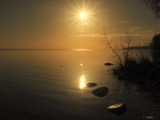 Puck: Słoneczny spacer nad brzegiem Zatoki Puckiej. Niech Was nie zwiedzie aura. Tak, to luty 2020. Foto Powiat Pucki | ZDJĘCIA