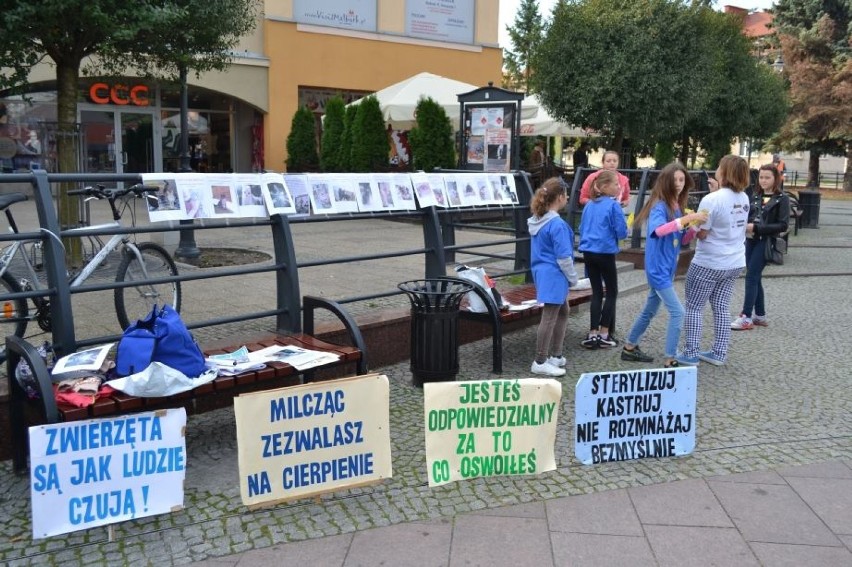 Akcja "Zerwijmy łańcuchy" w Malborku [ZDJĘCIA]. Wolontariusze i mieszkańcy w obronie psów