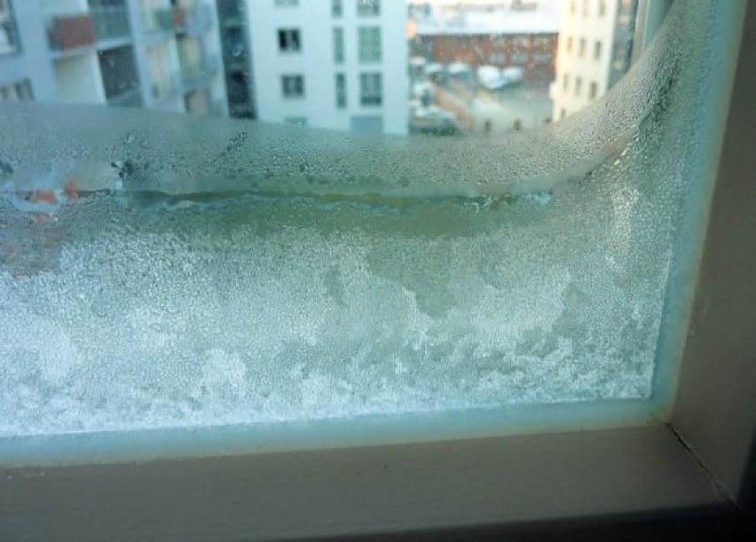 Tak zimą wyglądały okna w mieszkaniu Katarzyny Przytuły.