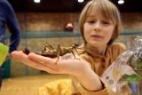 Legnica: OSiR zaprasza na "Dziecięcą Wystawę Zwierząt Domowych 2024", zdjęcia