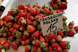 Bosacka kupiła truskawki w zaskakującej cenie. Jak odróżnić polskie truskawki od zagranicznych? Odmiany i właściwości owoców