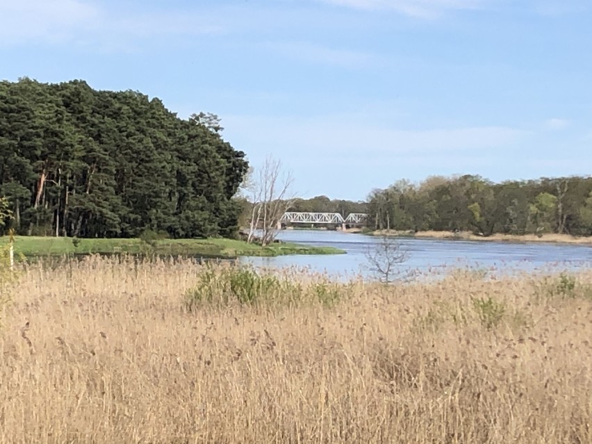 Spacer nad Odrą w okolicy Pomorska to jedna z propozycji...