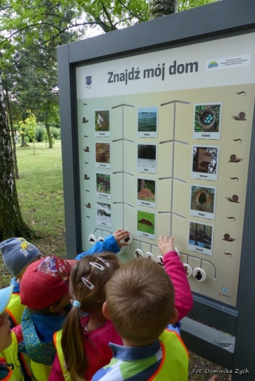 Nowa ścieżka edukacyjna w Parku Dworcowym w Krotoszynie [ZDJĘCIA]