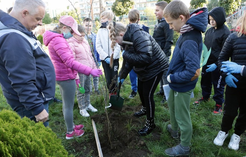 Uczniowie Szkoły Podstawowej nr 11 w Grudziądzu biorą udział...