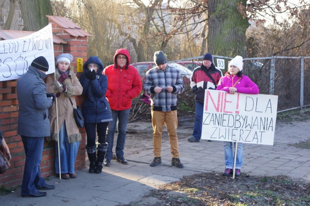 Jeszcze niedawno wolontariusze protestowali pod kaliskim schroniskiem