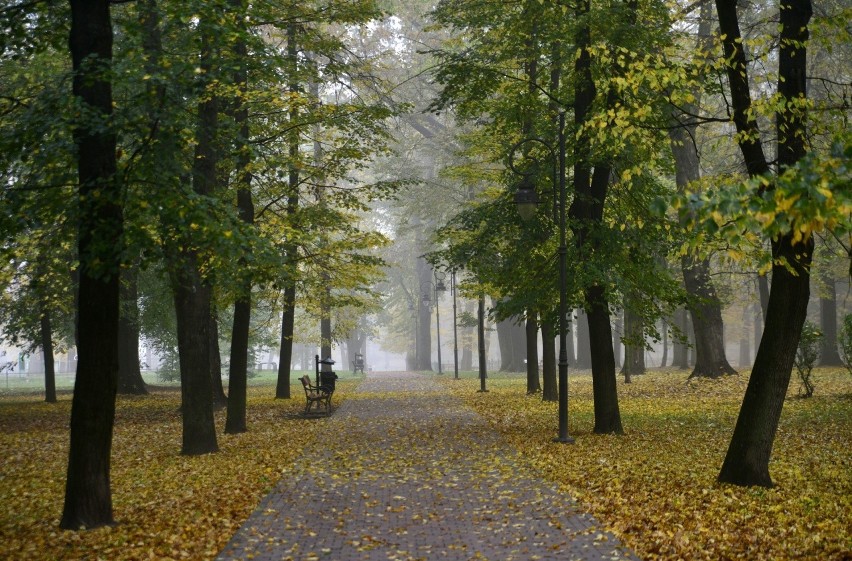 Radom posiada wiele pięknych miejsc, które mogą być idealnym...