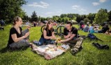W każdą sobotę Park Śląski zaprasza na "Śniadania na trawie" 