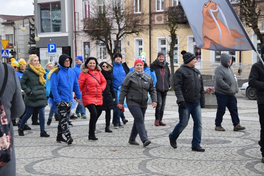 Zlot Morsów w Augustowie. Dwustu śmiałków kąpało się w Nettcie [Zdjęcia]