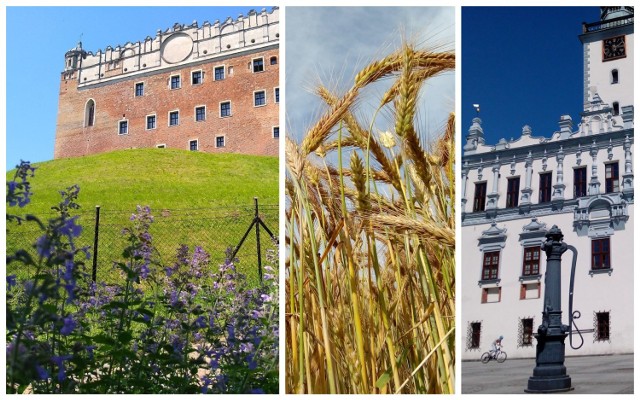 Postanowiliśmy sprawdzić, co spodobało się tym, którzy już odbyli wycieczki po rejonie Kujaw i Pomorza. Oto wyniki naszego przeglądu na Instagramie. Zobaczcie, jak pięknie wyglądają miejsca na obszarze województwa --->

Na zdjęciu zamek w Golubiu-Dobrzyniu i ratusz w Chełmnie.