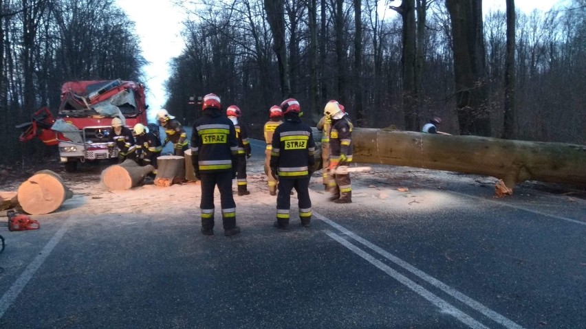 Drzewo runęło na wóz strażaków z OSP Zalesie Śląskie. Dwóch mundurowych poszkodowanych