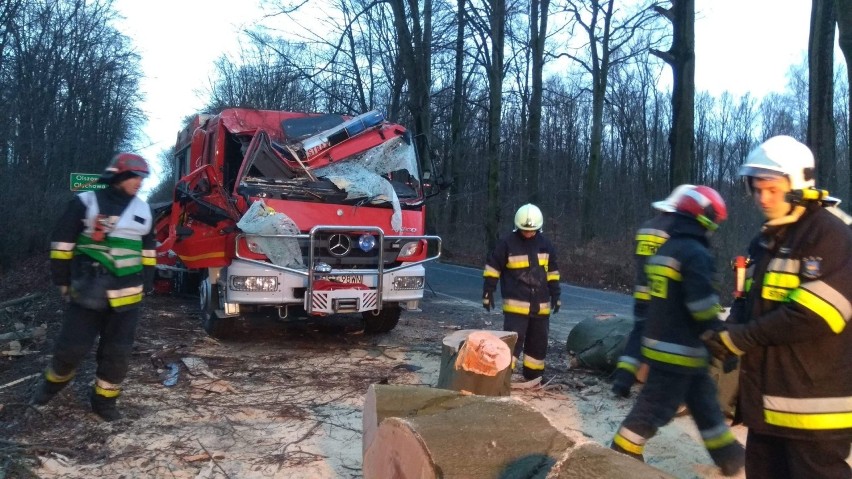 Drzewo runęło na wóz strażaków z OSP Zalesie Śląskie. Dwóch mundurowych poszkodowanych