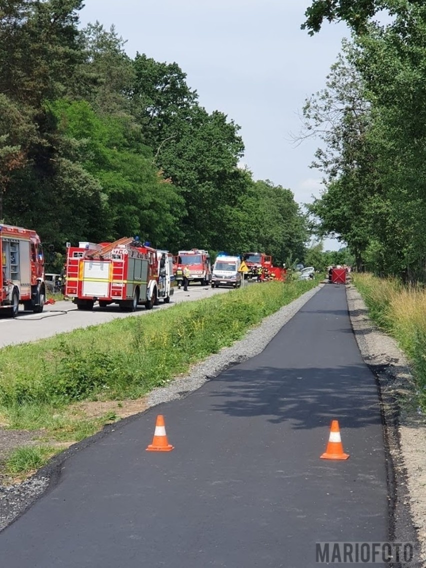 Wypadek śmiertelny w powiecie oleskim. Na drodze pod Kozłowicami zderzyły się dwa samochody. Jedna osoba nie żyje