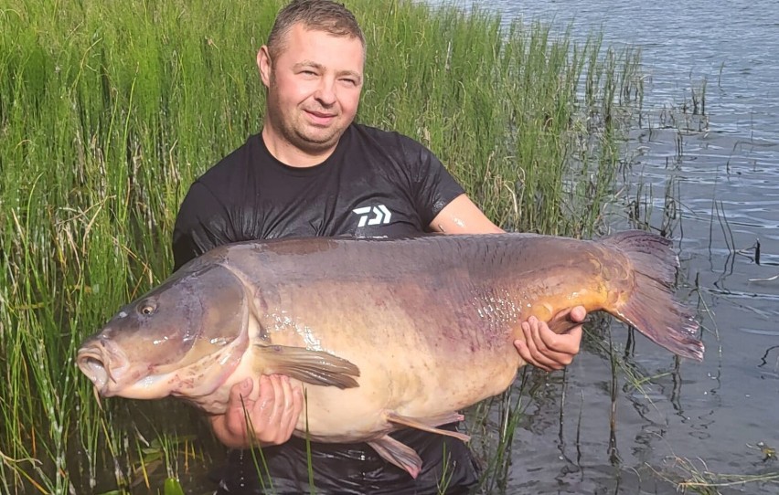 Z Jeziora Miłoszewskiego wyłowił ponad 32 kg karpia!