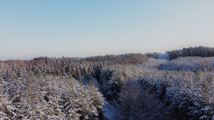 Góra Chełmska w zimowej szacie.