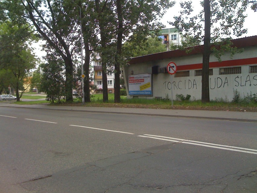 Referendum w Rudzie Śląskiej: na ulicach miasta ruszyła kampania. Są bilboardy