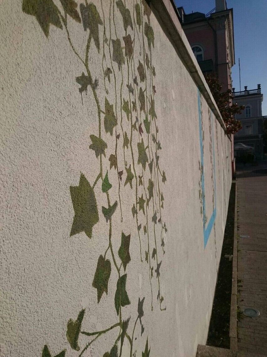 Piękny mural pojawił się przy fontannach na ulicy Żeromskiego w Radomiu. Będzie też więcej zieleni. Zobacz zdjęcia
