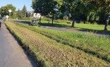 Będzie znacznie mniej koszenia terenów zielonych w Lesznie. ,,Chcemy chronić zieleń w mieście'' przekonują urzędnicy