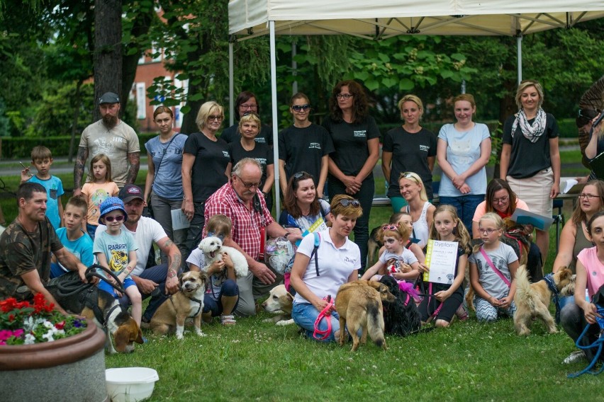 OTOZ Animals Lubliniec pomaga zwierzętom od 13 lat!