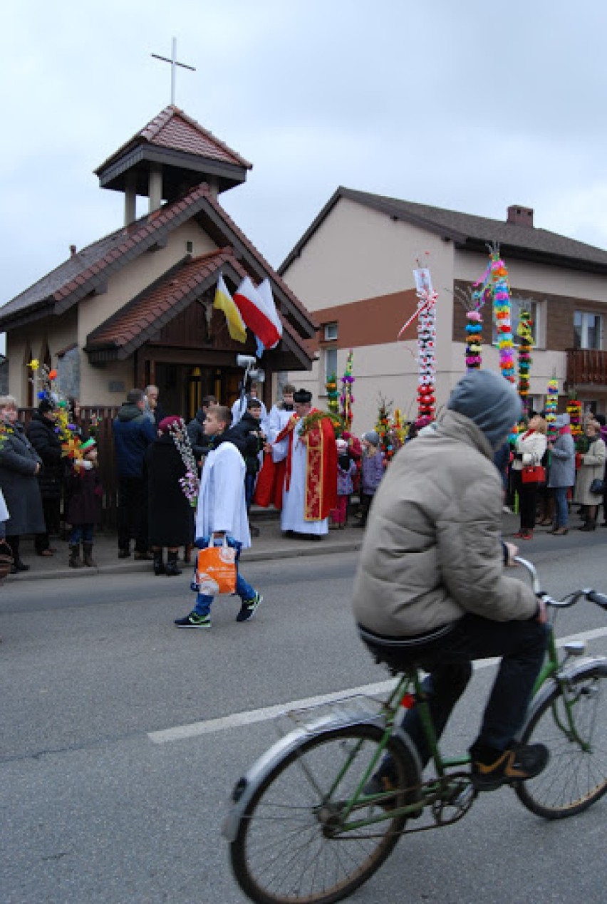 Piękne palmy pokazali w Niedzielę w Ostrowach nad Okszą [FOTO]