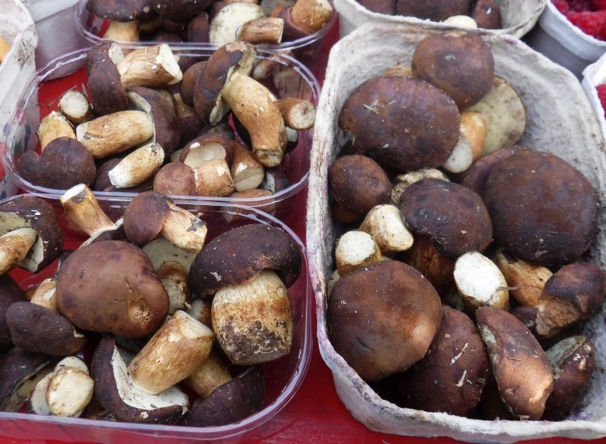Na targowisku w Korej w Radomiu sprzedawano grzyby. Najwięcej było kurek. W jakie cenie? Zobacz zdjęcia