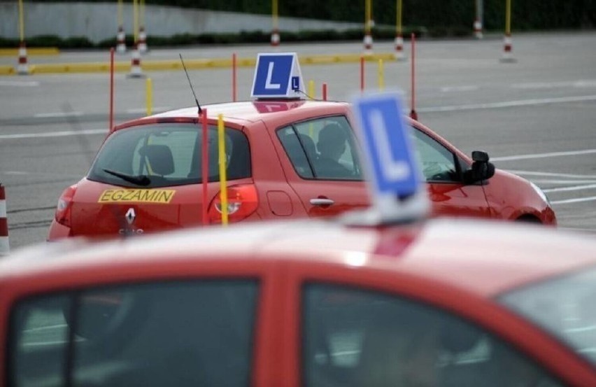 Protest WORD 2022. Egzaminatorzy znów protestują. Jak...